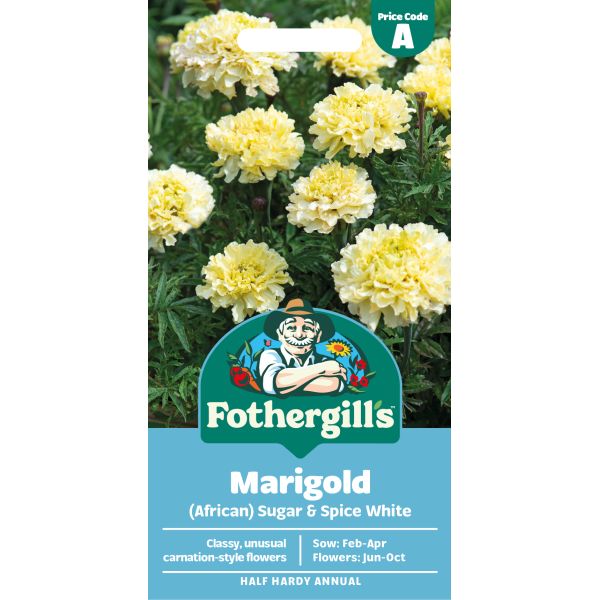 Marigold (African) Sugar & Spice White Flower Seeds