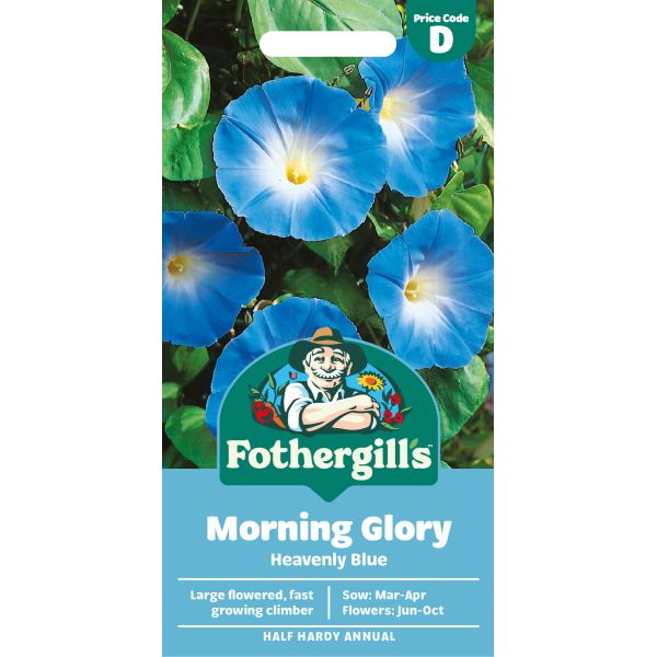 Morning Glory Heavenly Blue Seeds