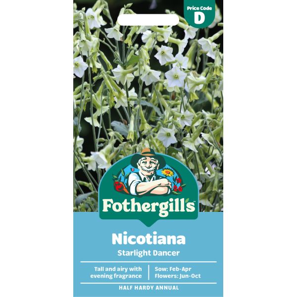Nicotiana Starlight Dancer Flower Seeds