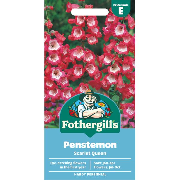Fothergills Penstemon Scarlet Queen seed packet with red and pink flowers on a white background