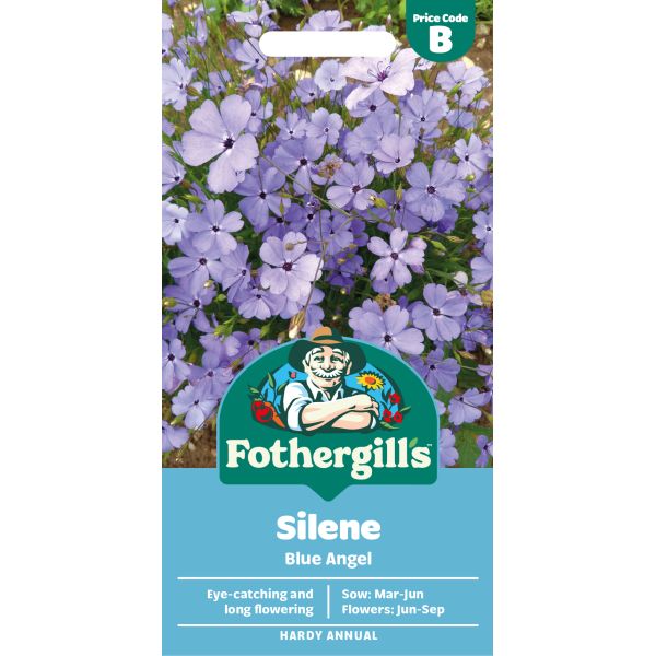 Fothergills Silene Blue Angel flower seed packet with purple flowers on a white background