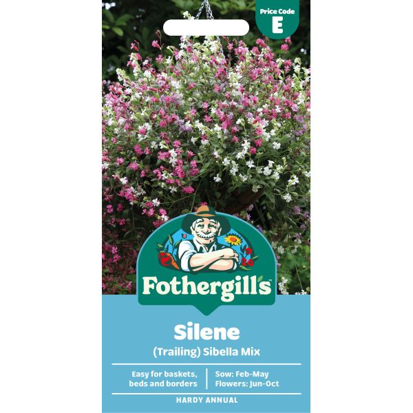 Fothergills Silene seed packet with a colorful flower background