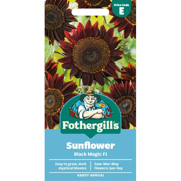 Fothergill's Sunflower Black Magic F1 packet with sunflower images on a white background