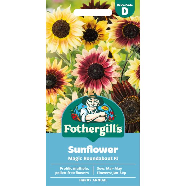 Sunflower Magic Roundabout F1 Seeds