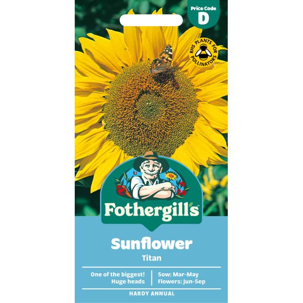 Fothergills Sunflower Titan seed packet with sunflower image and brand logo.