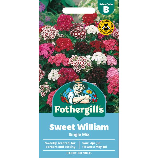 Sweet William Single Mixed Seeds
