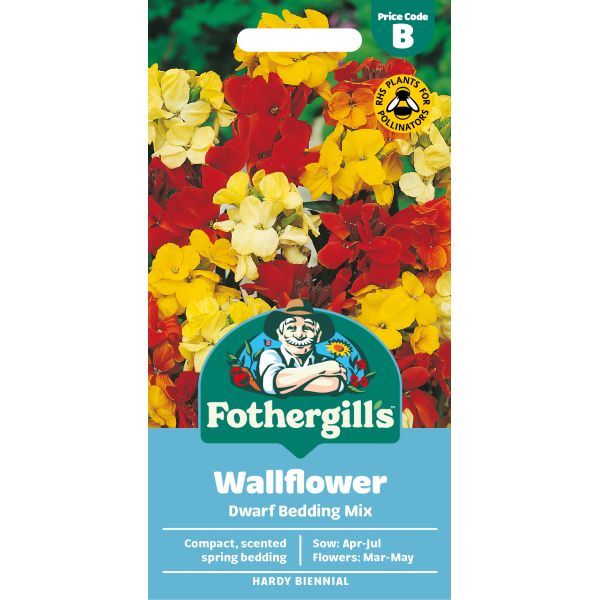 Fothergills wallflower seed packet with colorful flowers on a white background