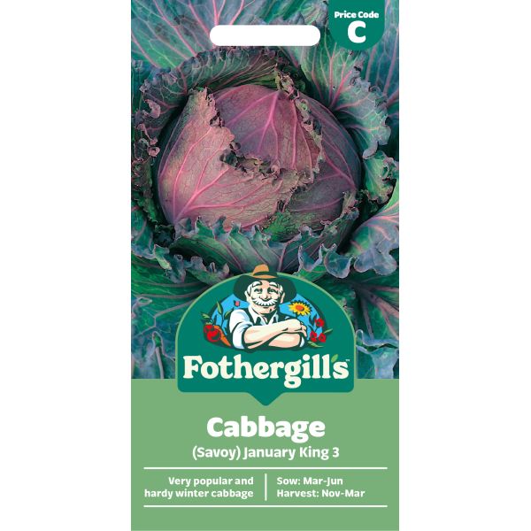 Fothergills cabbage seed packet with Savoy January King 3 variety on a white background