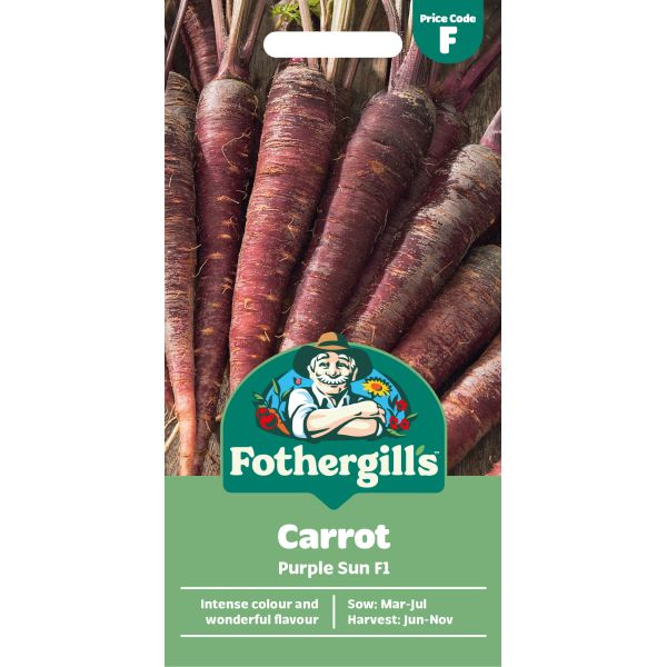 Carrot Purple Sun F1