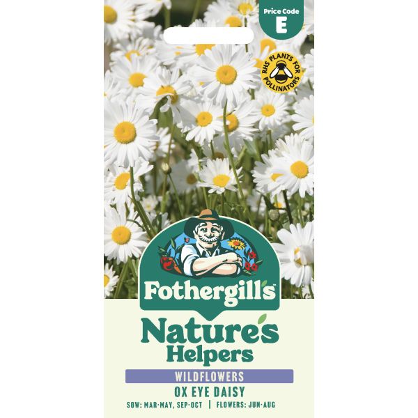 Fothergills Nature's Helpers wildflower seed packet with ox eye daisy flowers on a white background