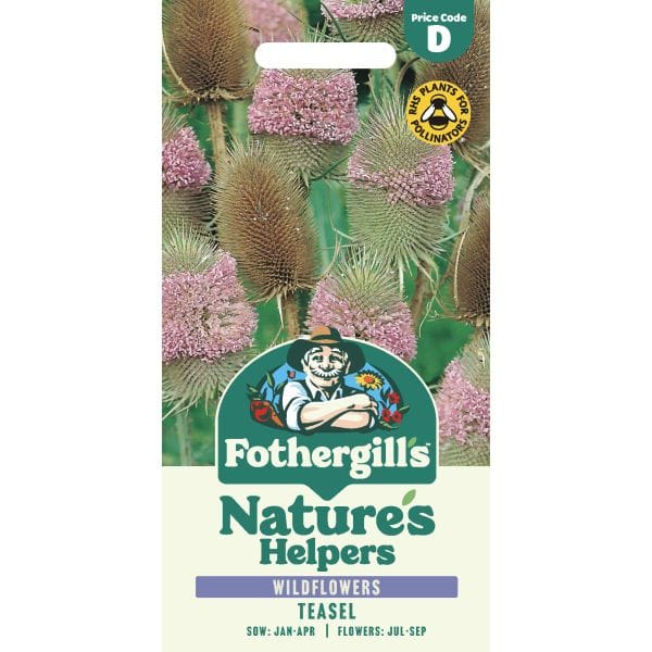 Nature's Helpers Teasel Seeds