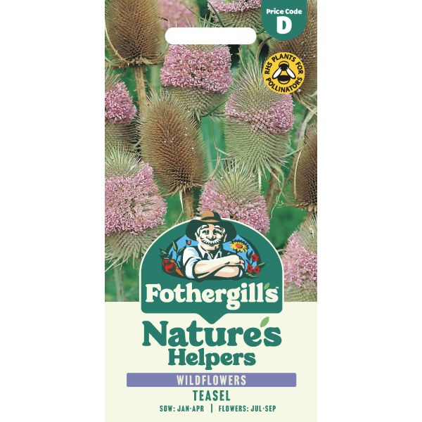Fothergills Nature's Helpers Teasel seed packet with plant images on a white background