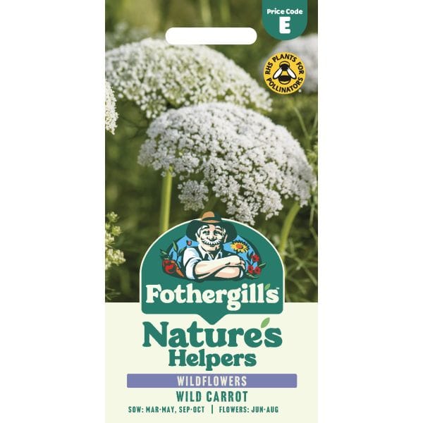 Nature's Helpers Wild Carrot Wildflower Seeds