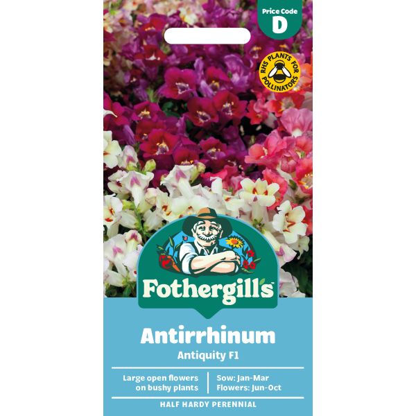 Antirrhinum Antiquity F1 Seeds