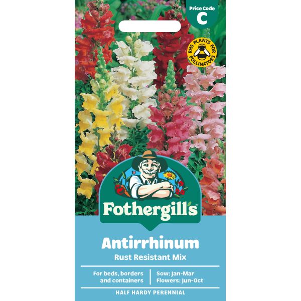 Antirrhinum Rust Resistant Mixed Seeds