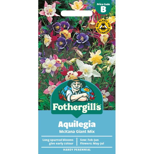 Aquilegia McKana Giants Mixed Seeds