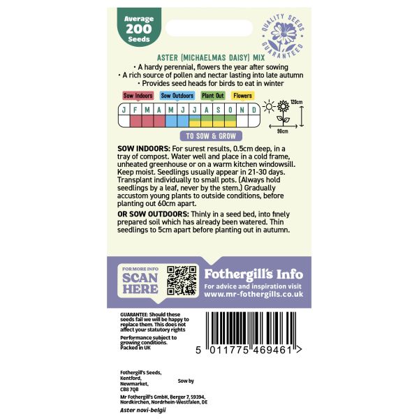 Michaelmas Daisy Mixed Seeds