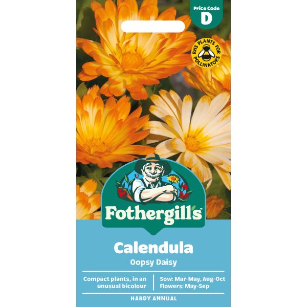 Calendula Oopsy Daisy Seeds