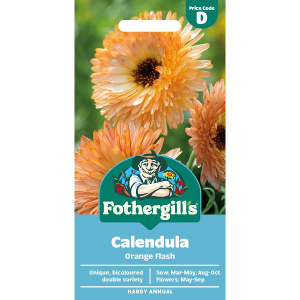 Calendula Orange Flash