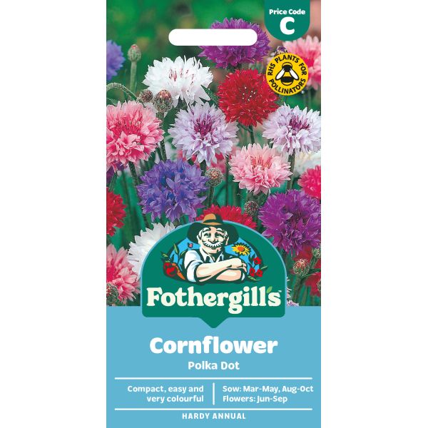 Cornflower Polka Dot Seeds
