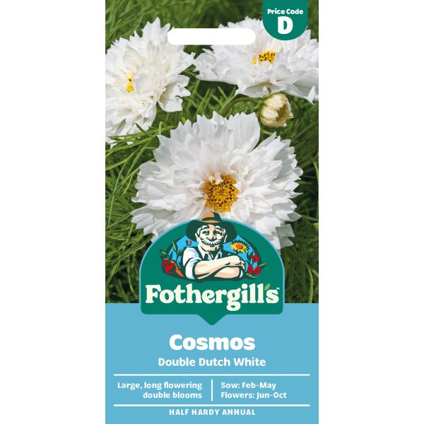 Cosmos Double Dutch White