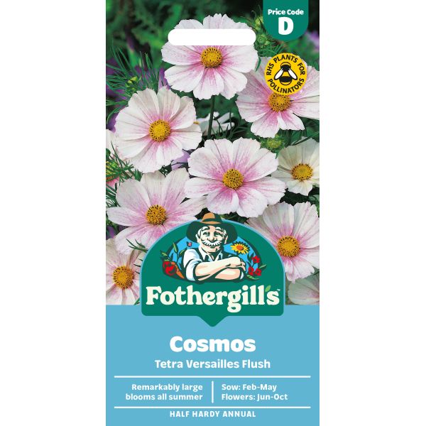 Cosmos Tetra Versailles Flush Seeds