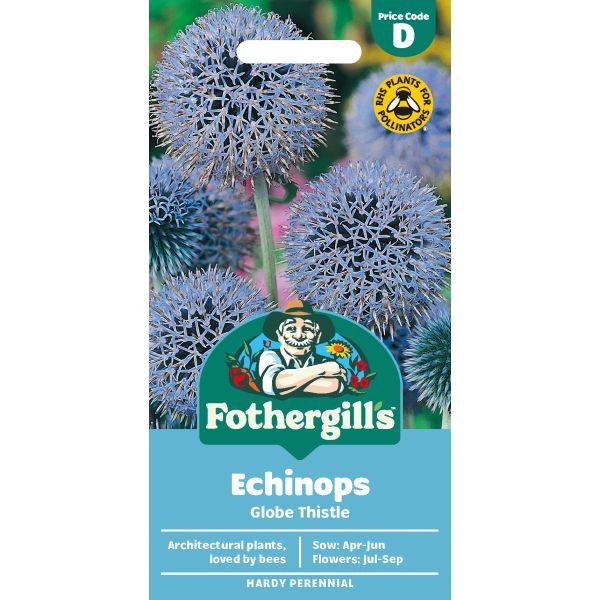 Globe Thistle Seeds