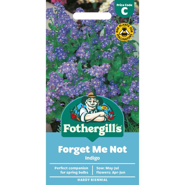 Forget Me Not Indigo Seeds