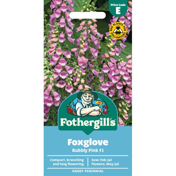 Foxglove Bubbly Pink F1 Seeds