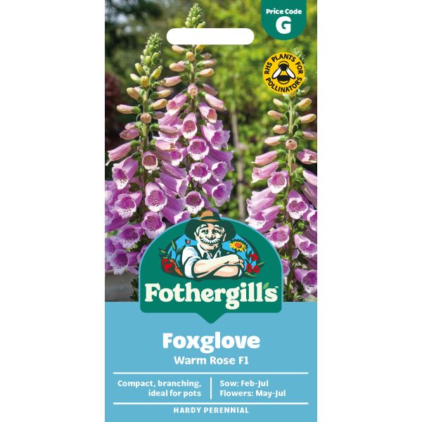 Fothergills Foxglove seed packet with images of foxglove flowers on a white background