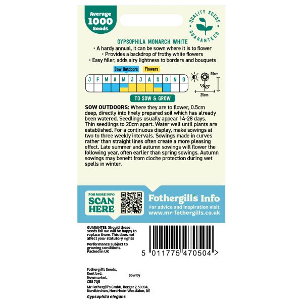 Gypsophila Monarch White