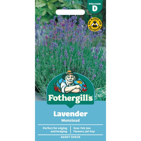 Lavender Munstead Strain Seeds