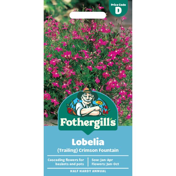 Lobelia Crimson Fountain Seeds