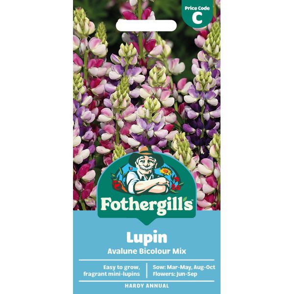 Lupin Avalune Bicolour Mix