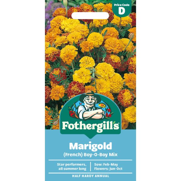 Fothergills Marigold seed packet with colorful marigold flowers on a white background