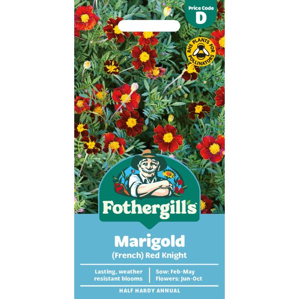 Fothergills Marigold (French) Red Knight seed packet with colorful marigold flowers on a white background.