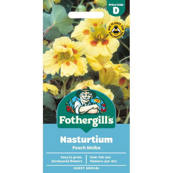 Nasturtium Peach Melba Seeds