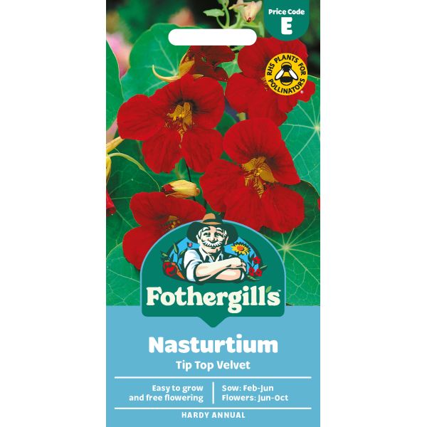 Nasturtium Tip Top Velvet Seeds