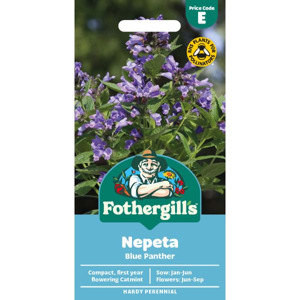 Nepeta Blue Panther Seeds
