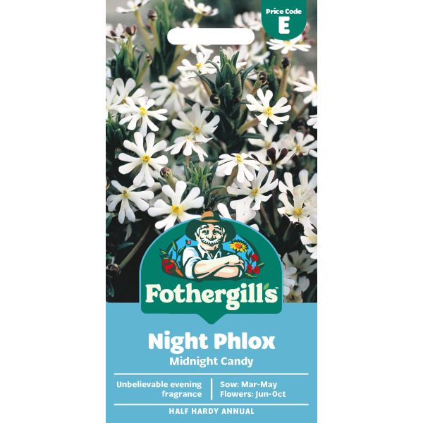 Night Phlox Midnight Candy