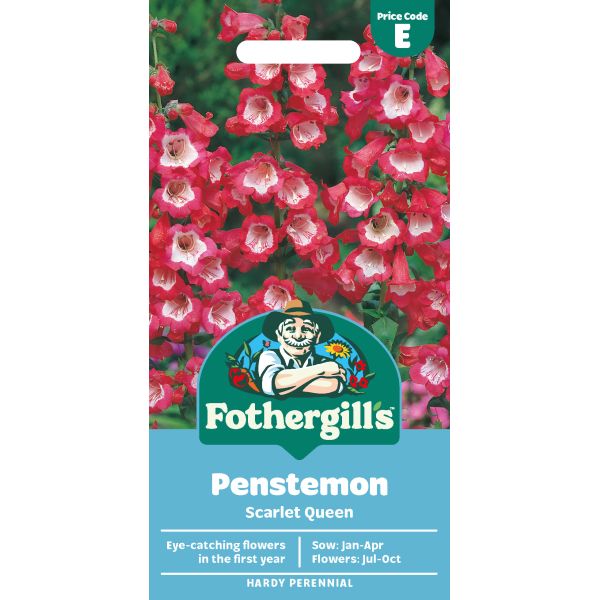 Penstemon Scarlet Queen Seeds