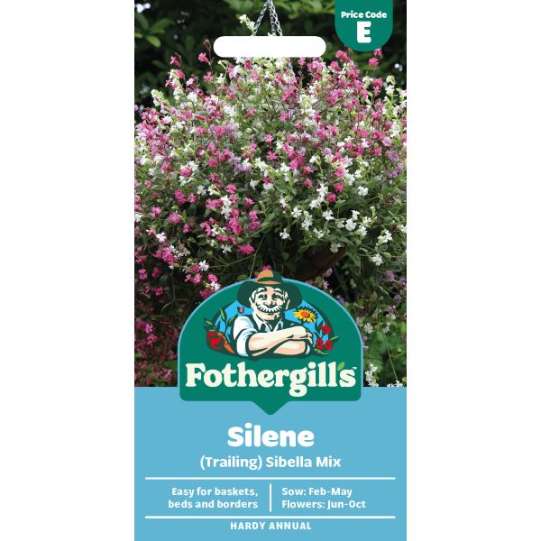 Silene Sibella Mix (Trailing) Flower Seeds