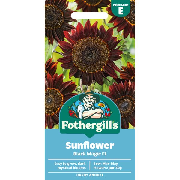 Sunflower Black Magic F1 Seeds