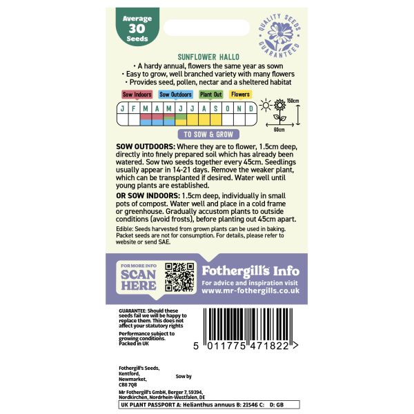 Sunflower Hallo Seeds