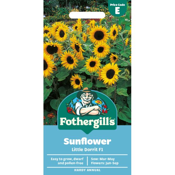 Sunflower Little Dorrit F1