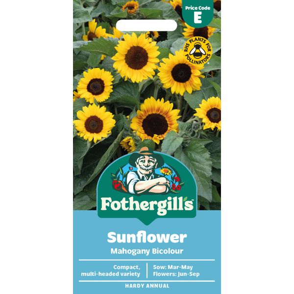Sunflower (Dwarf) Mahogany Seeds