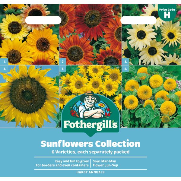 Sunflower Collection