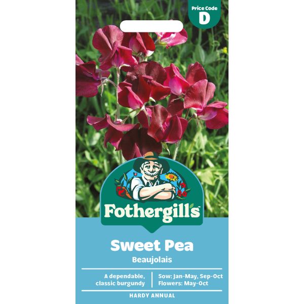 Sweet Pea Beaujolais Seeds