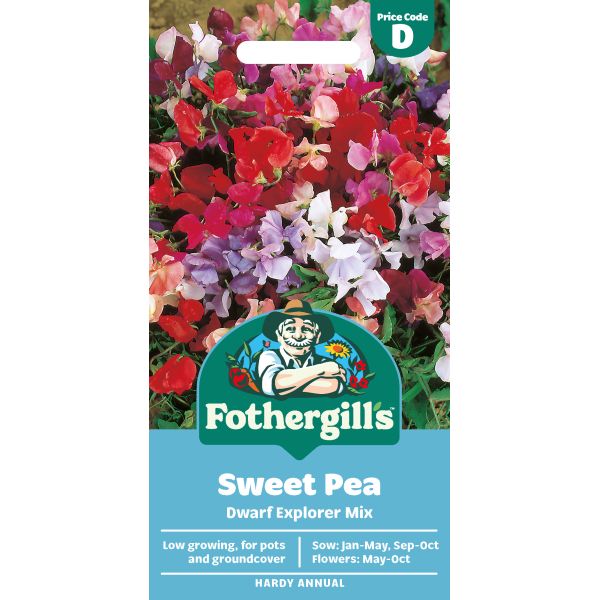 Sweet Pea Dwarf Explorer Mixed Seeds