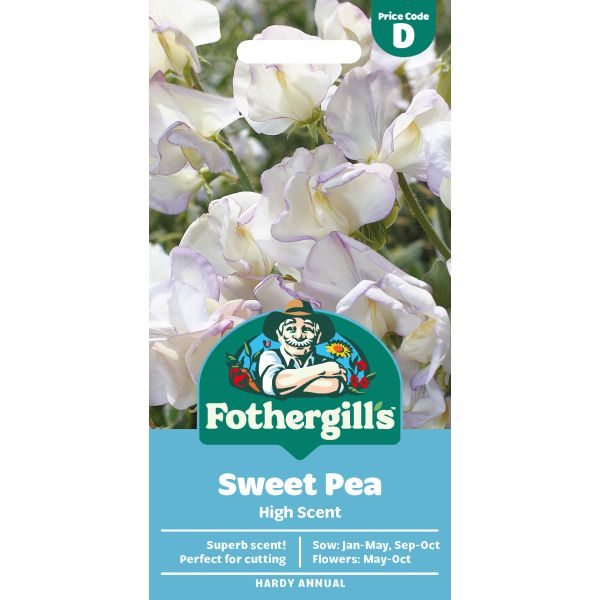 Sweet Pea High Scent Seeds